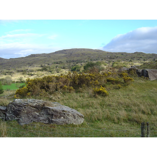 照片 爱尔兰(Ireland) 凯里郡(Kerry) 基拉尼国家公园(Killarney National Park) 2004-05 2