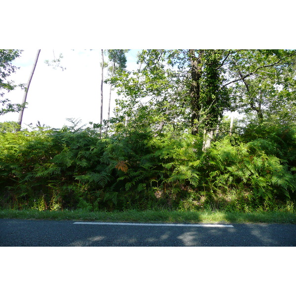 照片 法国(France) 吉伦特湖区公路(Gironde lakes road) 2007-08 8