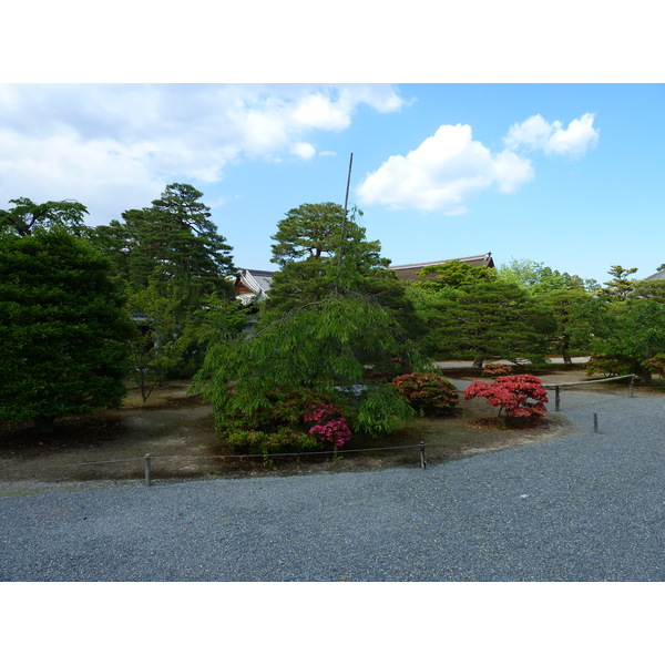 照片 日本(Japan) 京都(Kyoto) 京都御所(Kyoto Imperial Palace) 2010-06 131