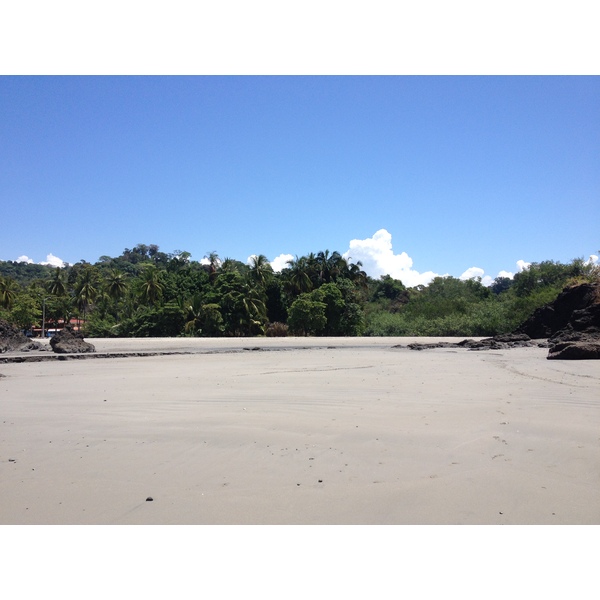 照片 哥斯达黎加(Costa Rica) 曼努埃尔安东尼奥(Manuel Antonio) 2015-03 77