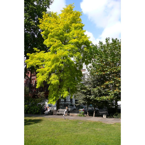 照片 英国(United Kingdom) 伦敦(London) 苏豪广场(Soho Square) 2007-09 52