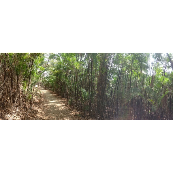 照片 哥斯达黎加(Costa Rica) 蒙特苏马(Montezuma) 2015-03 381
