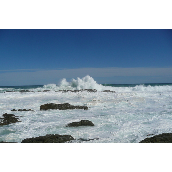 照片 南非(South Africa) 齐齐卡马国家公园(Tsitsikamma National Park) 2008-09 341
