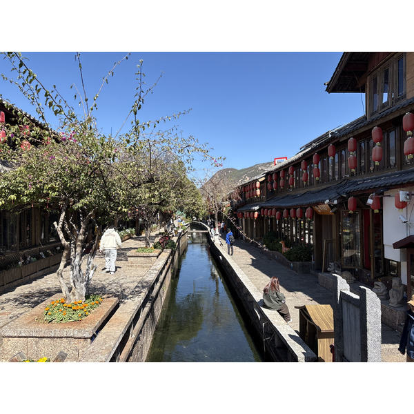 照片 中国(China) 丽江(Lijiang) 2026-01 539