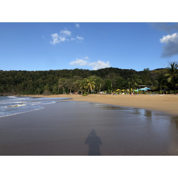 照片 瓜德罗普(Guadeloupe) 珍珠海滩(La Perle Beach) 2021-02 17