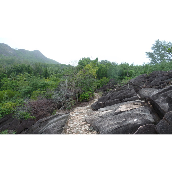 照片 塞舌尔(Seychelles) 居里厄斯岛(Curieuse) 2011-10 22