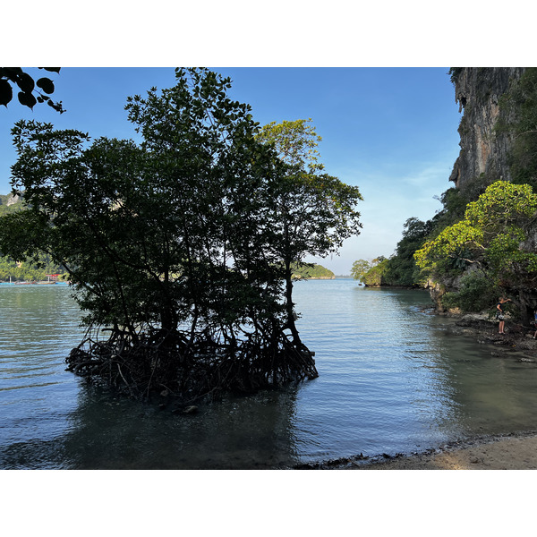 照片 泰国(Thailand) 甲米(Krabi) 2023-01 187