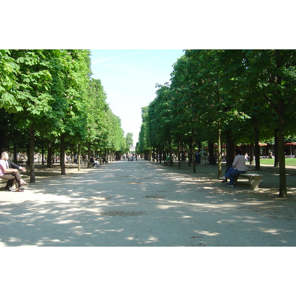 照片 法国(France) 巴黎(Paris) 杜乐丽花园(Garden of Tuileries) 2007-05 36