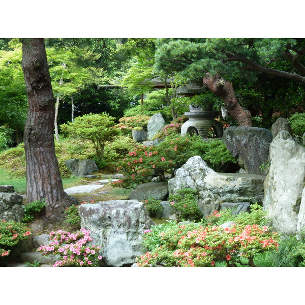 照片 日本(Japan) 京都(Kyoto) 京都御所(Kyoto Imperial Palace) 2010-06 89