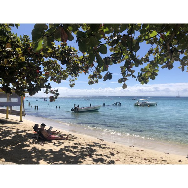 照片 瓜德罗普(Guadeloupe) 圣安妮(Sainte Anne) 2021-02 42