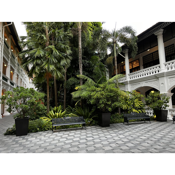 照片 新加坡(Singapore) 新加坡莱佛士酒店(Raffles Hotel Singapore) 2023-01 16