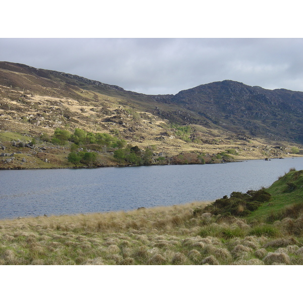 照片 爱尔兰(Ireland) 凯里郡(Kerry) 基拉尼国家公园(Killarney National Park) 2004-05 4