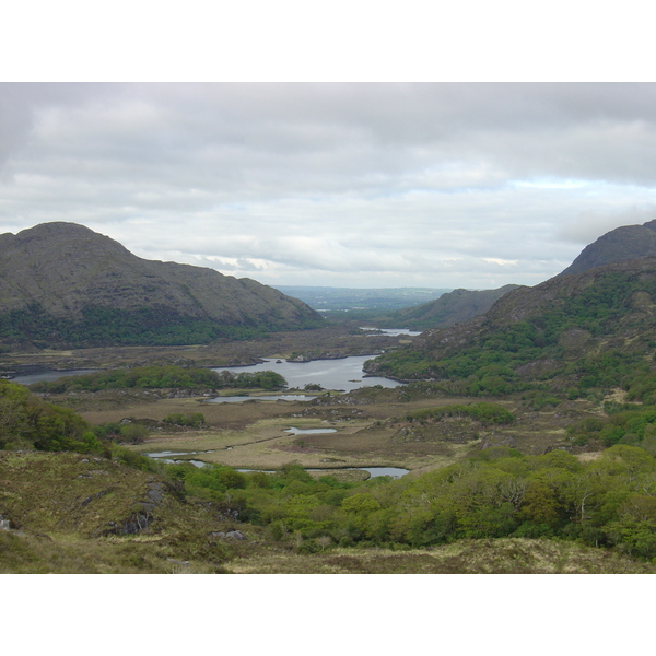 照片 爱尔兰(Ireland) 凯里郡(Kerry) 基拉尼国家公园(Killarney National Park) 2004-05 43