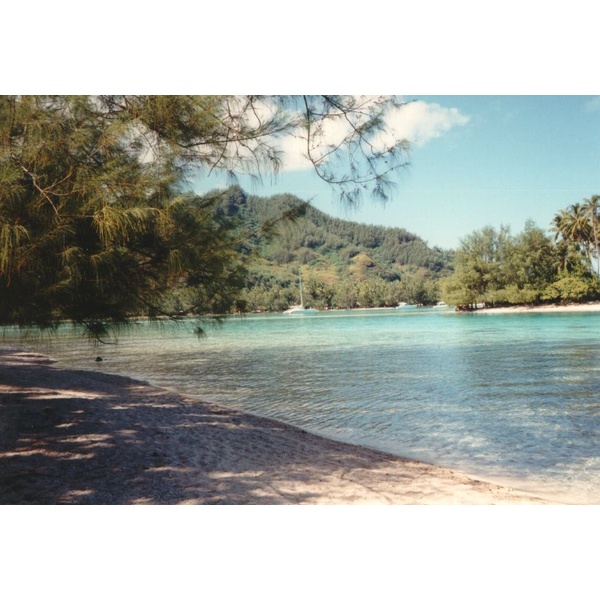 照片 波利尼西亚(Polynesia) 莫雷阿岛(Moorea) 1993-04 20