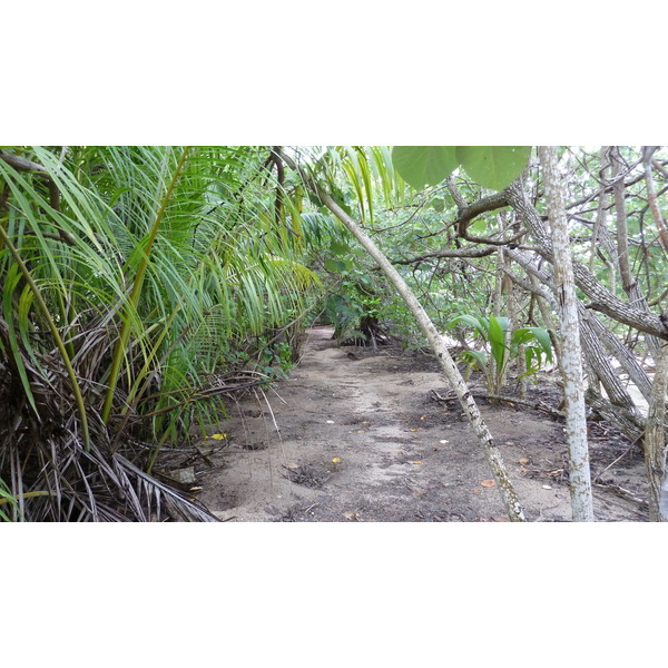 照片 塞舌尔(Seychelles) 居里厄斯岛(Curieuse) 2011-10 52
