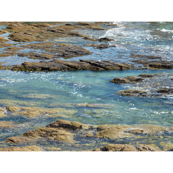 照片 法国(France) 滨海皮里亚克(Piriac sur mer) 2009-08 4