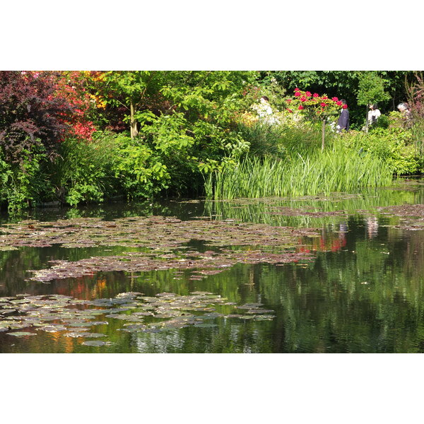 照片 法国(France) 吉维尼(Giverny) 2013-06 159