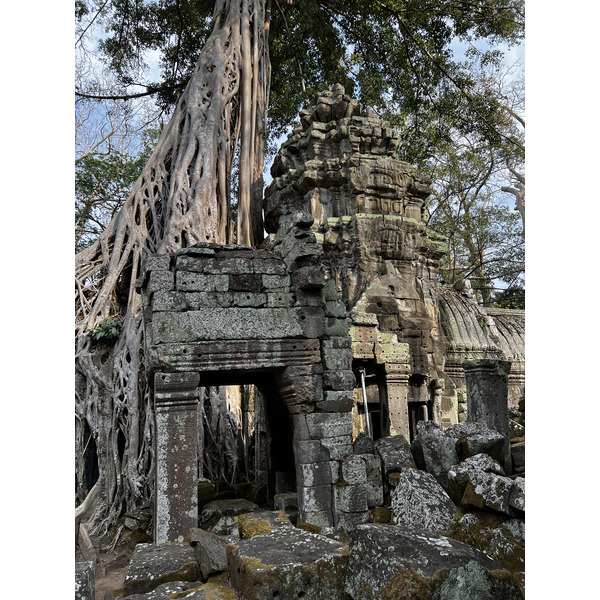 照片 柬埔寨(Cambodia) 暹粒(Siem Reap) 塔布茏寺(Ta Prohm) 2023-01 152