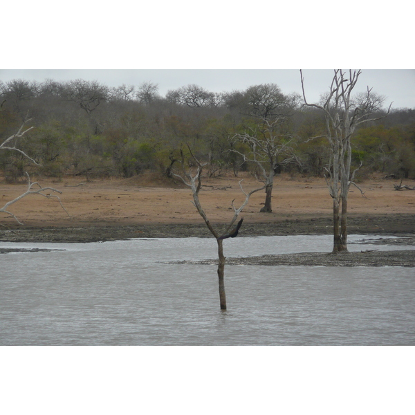 照片 南非(South Africa) 克鲁格国家公园(Kruger National Park) 姆蓬多(Mpondo) 2008-09 31