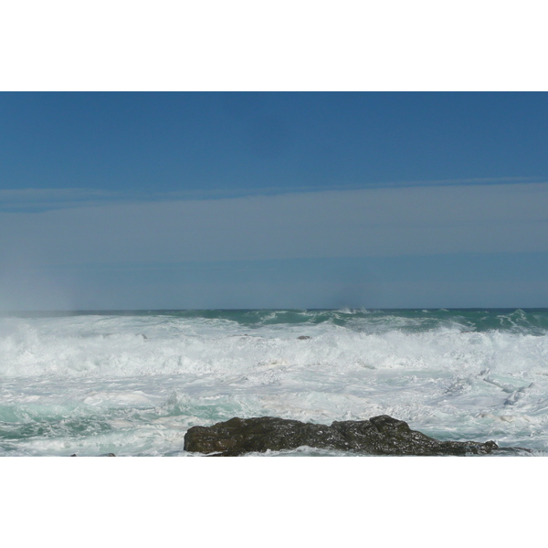 照片 南非(South Africa) 齐齐卡马国家公园(Tsitsikamma National Park) 2008-09 267