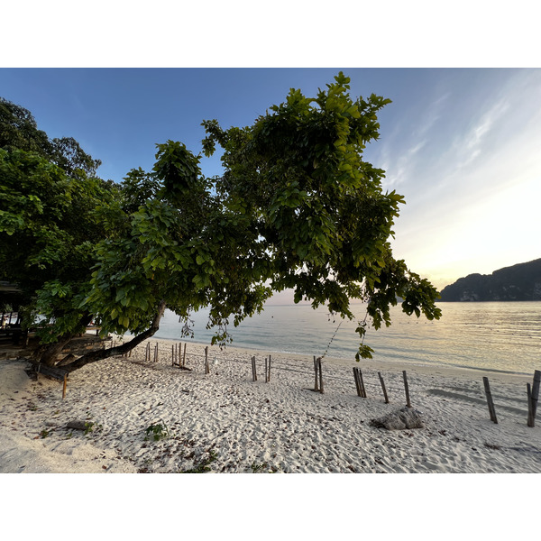 照片 泰国(Thailand) 大皮皮岛(Ko Phi Phi Don) 2021-12 193