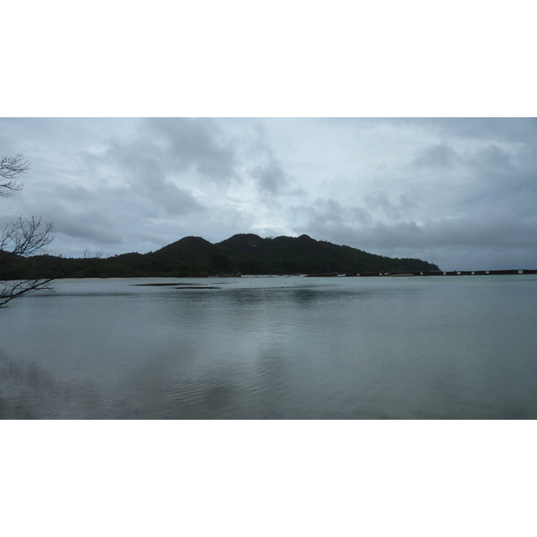 照片 塞舌尔(Seychelles) 居里厄斯岛(Curieuse) 2011-10 46