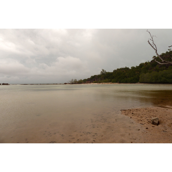 照片 塞舌尔(Seychelles) 居里厄斯岛(Curieuse) 2011-10 48