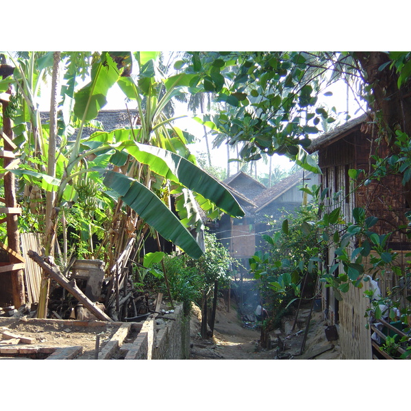 照片 缅甸(Myanmar) 丹老(Myeik (Mergui)) 2005-01 174