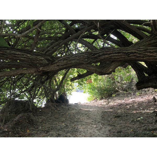 照片 瓜德罗普(Guadeloupe) 小阿弗尔海滩(Petit Havre Beach) 2021-02 23