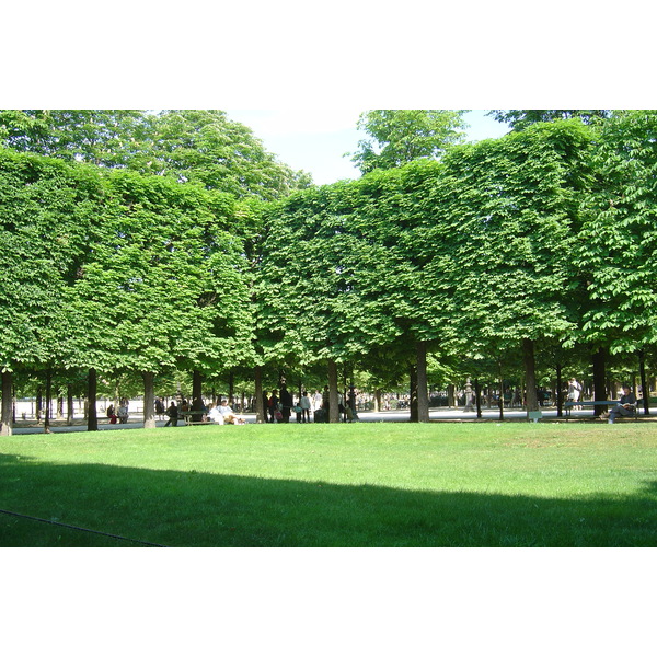 照片 法国(France) 巴黎(Paris) 杜乐丽花园(Garden of Tuileries) 2007-05 353