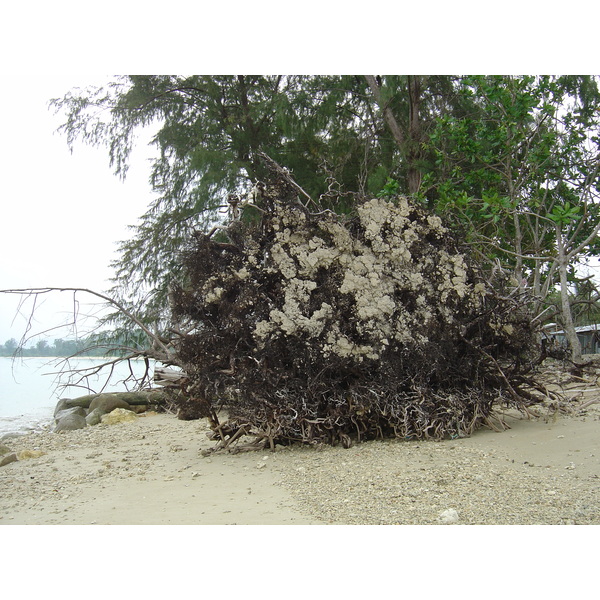 照片 泰国(Thailand) 考拉(Khao Lak) 邦萨海滩(Bang Sak Beach) 2005-12 1