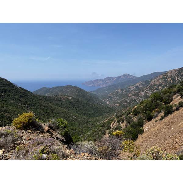 照片 法国(France) 科西嘉岛(Corsica) 奥萨尼(Osani) 2023-06 4