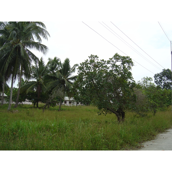 照片 泰国(Thailand) 考拉(Khao Lak) 邦萨海滩(Bang Sak Beach) 2005-12 12