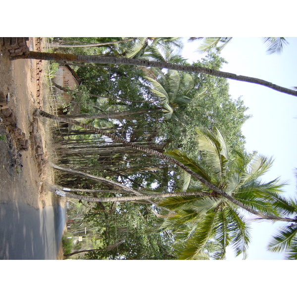 照片 印度(India) 果阿(Goa) 2003-05 51