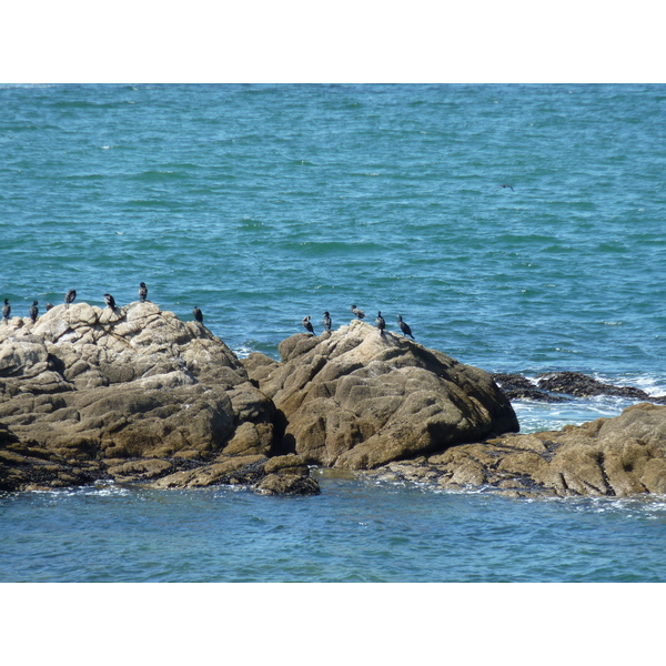 照片 法国(France) 滨海皮里亚克(Piriac sur mer) 2009-08 9