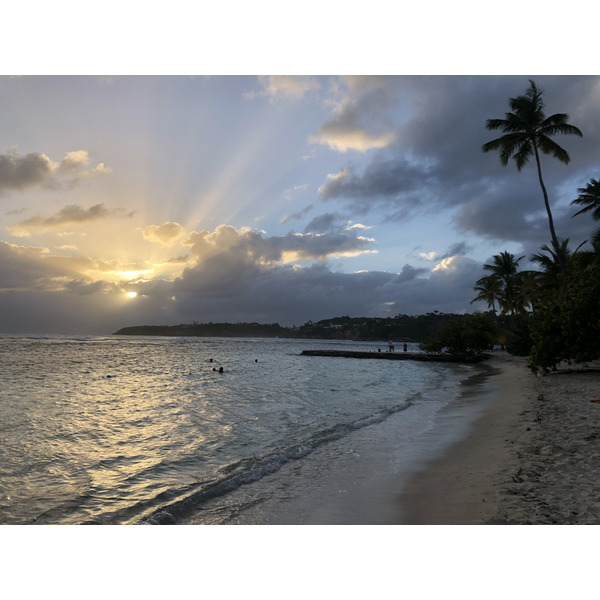 照片 瓜德罗普(Guadeloupe) 圣安妮(Sainte Anne) 2021-02 48