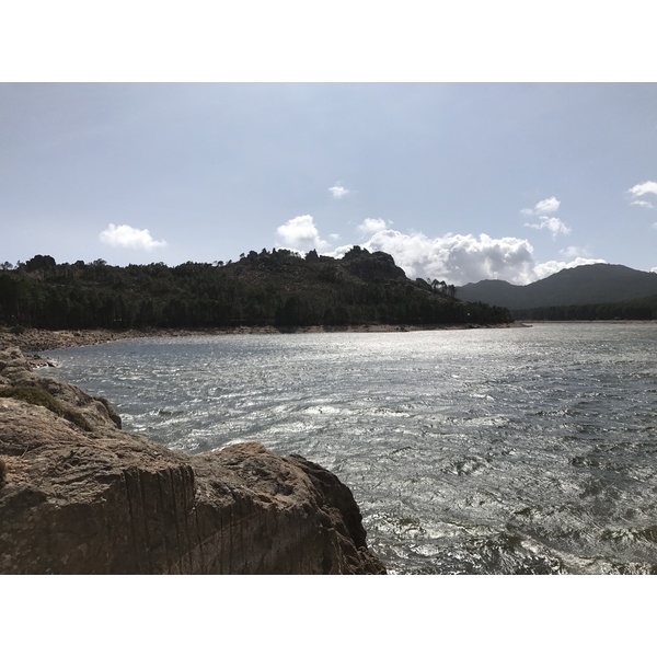 照片 法国(France) 科西嘉岛(Corsica) 奥斯佩达莱森林(L'ospedale Forest) 2017-09 11