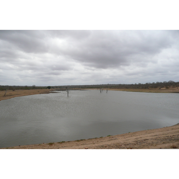 照片 南非(South Africa) 克鲁格国家公园(Kruger National Park) 姆蓬多(Mpondo) 2008-09 20