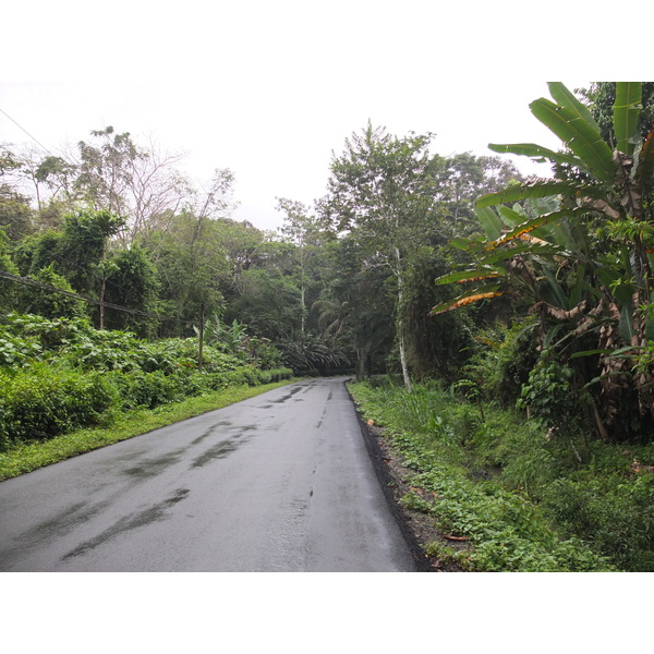 照片 哥斯达黎加(Costa Rica) 塔拉曼卡旧港(Puerto Viejo de Talamanca) 2015-03 11