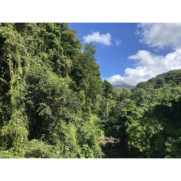 照片 瓜德罗普(Guadeloupe) 大苏弗里耶尔火山(La Grande Soufriere) 2021-02 43