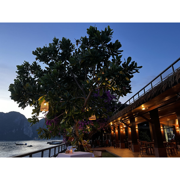 照片 泰国(Thailand) 大皮皮岛(Ko Phi Phi Don) 2021-12 115