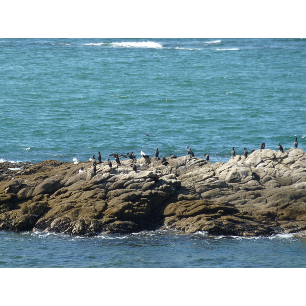 照片 法国(France) 滨海皮里亚克(Piriac sur mer) 2009-08 15