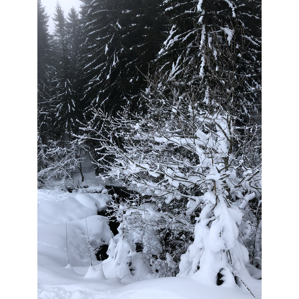 照片 法国(France) 拉克吕萨(La Clusaz) 2017-12 299