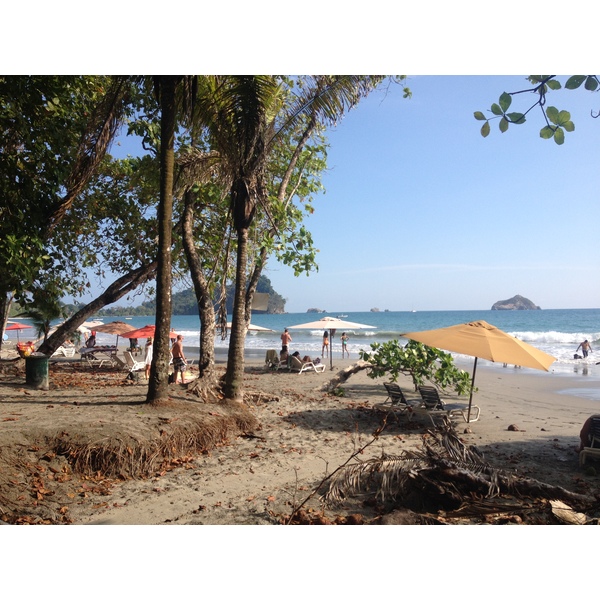 照片 哥斯达黎加(Costa Rica) 曼努埃尔安东尼奥(Manuel Antonio) 2015-03 269
