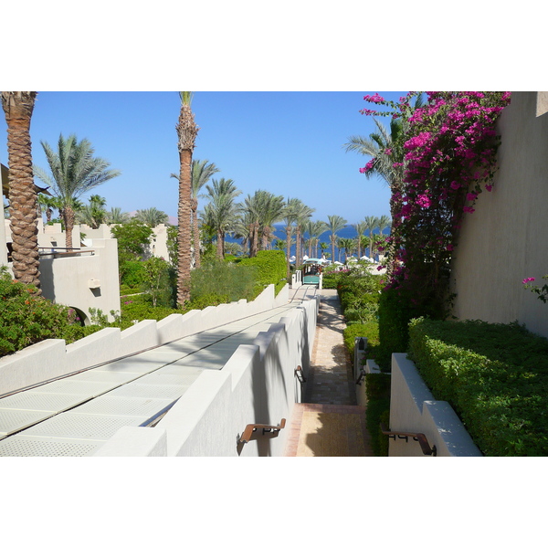 照片 埃及(Egypt) 沙姆沙伊赫(Sharm el Sheikh) 四季酒店(Four Seasons Hotel) 2008-06 83