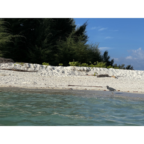 照片 泰国(Thailand) 甲米(Krabi) 波达岛(Ko Poda) 2023-01 86
