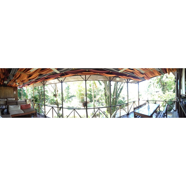 照片 哥斯达黎加(Costa Rica) 曼努埃尔安东尼奥(Manuel Antonio) 2015-03 396