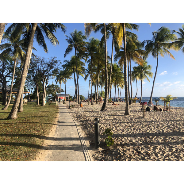 照片 瓜德罗普(Guadeloupe) 卡拉维尔海滩(La Caravelle Beach) 2021-02 129