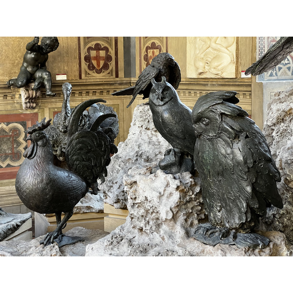 照片 意大利(Italy) 佛罗伦萨(Florence) 巴杰罗博物馆(Bargello Museum) 2022-05 73
