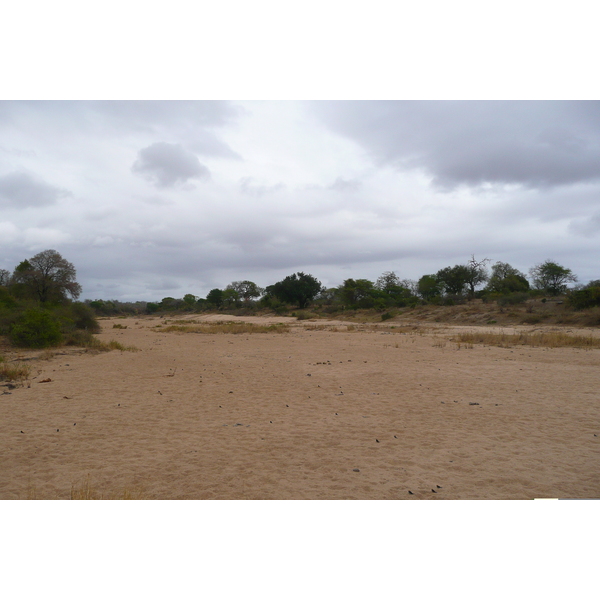 照片 南非(South Africa) 克鲁格国家公园(Kruger National Park) 鳄鱼河(Crocodile River) 2008-09 35